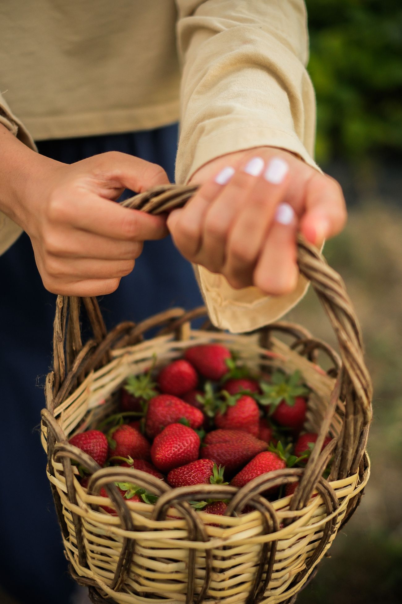 Ilustrasi seorang pemetik membawa keranjang strawberry segar