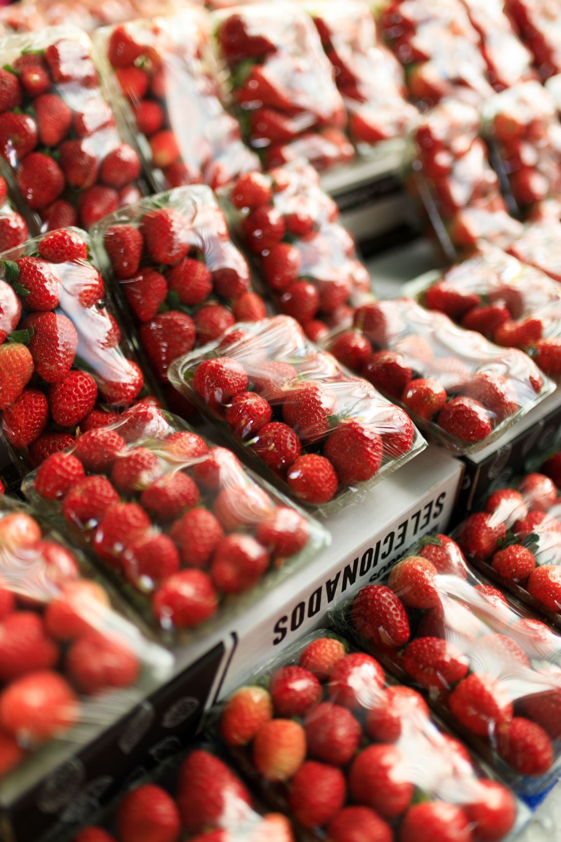 Ilustrasi strawberry segar dalam kemasan tray transparan