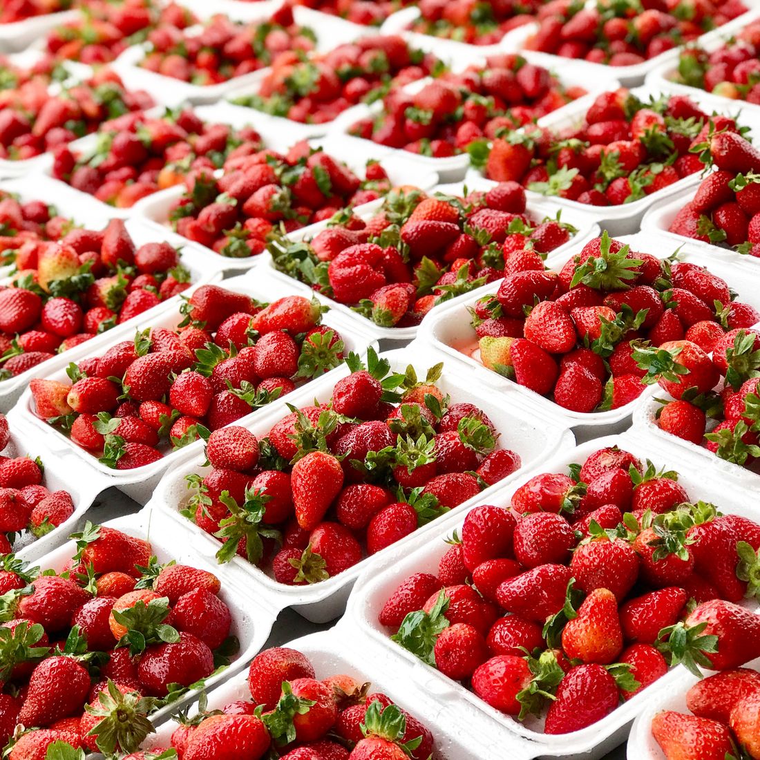 Ilustrasi banyak kemasan strawberry untuk kebutuhan mitra dan grosir